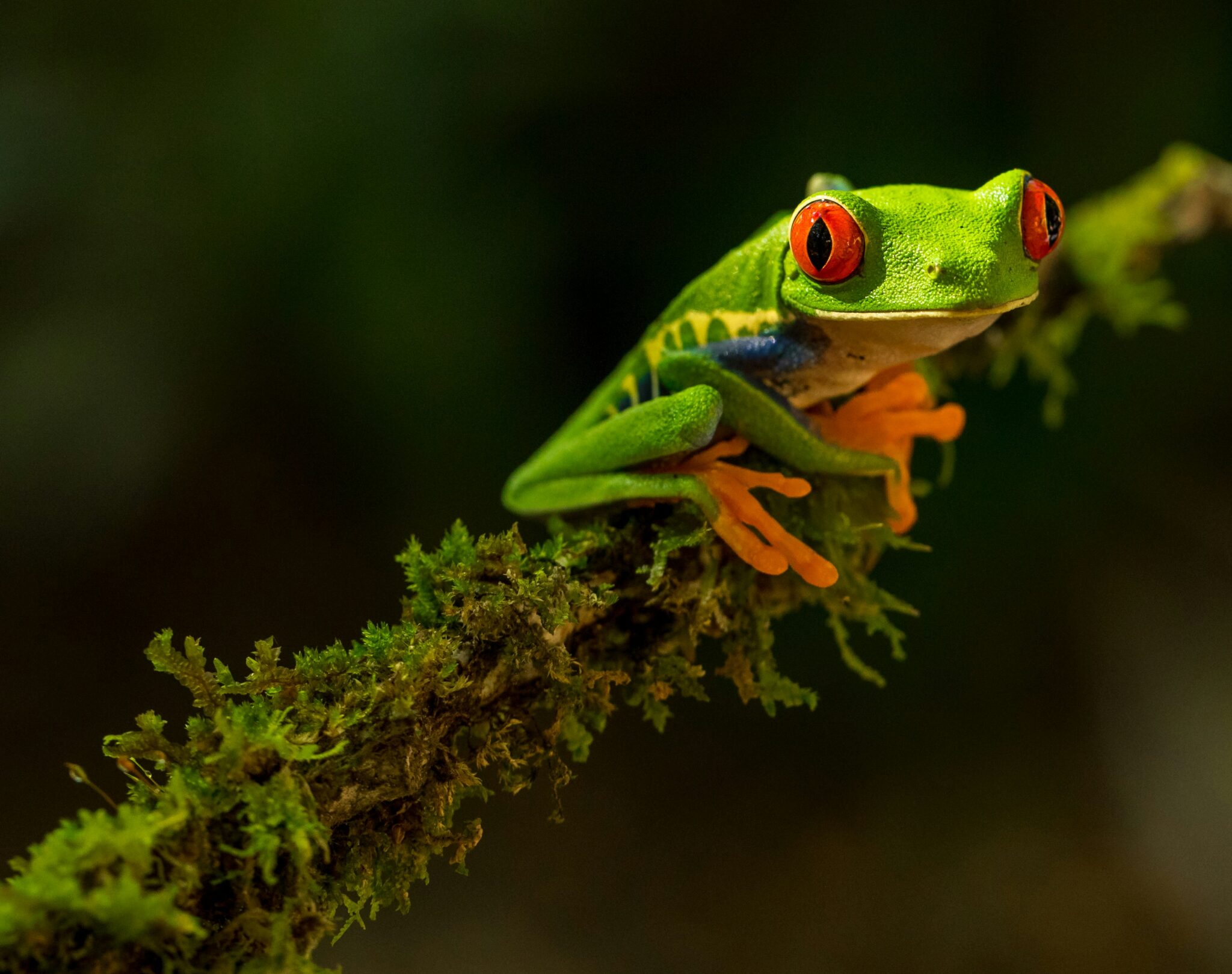 Costa Rica 2025: Planeje sua viagem com segurança, economia e aventura