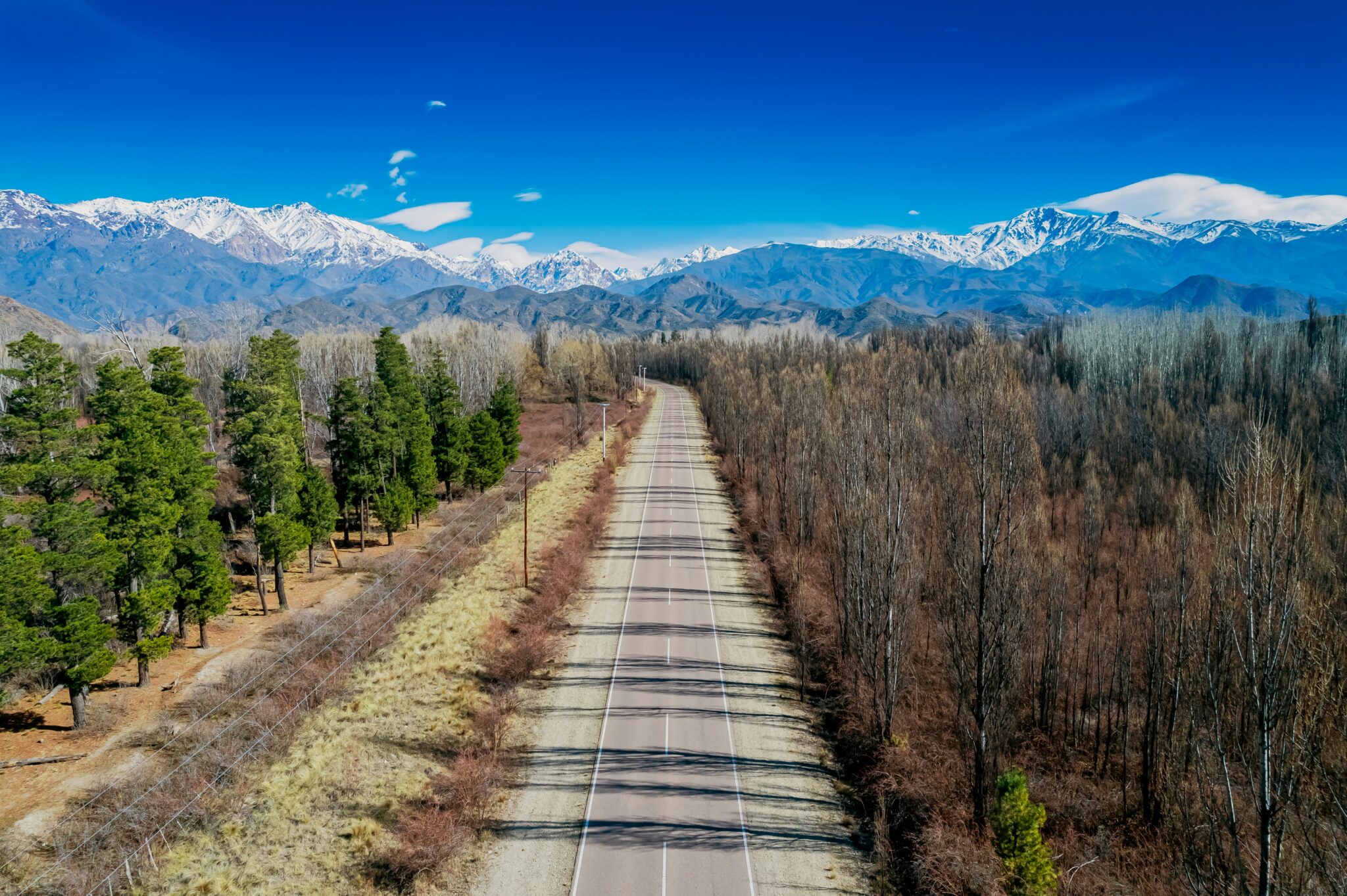 Mendoza: O Paraíso do Vinho e Aventura